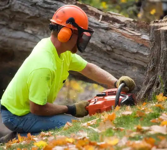 tree services Red Lake